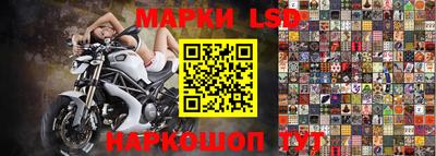 СК Новокубанск