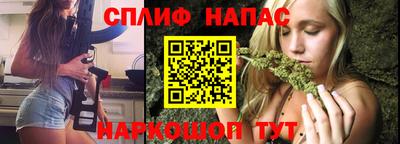 СК Новокубанск