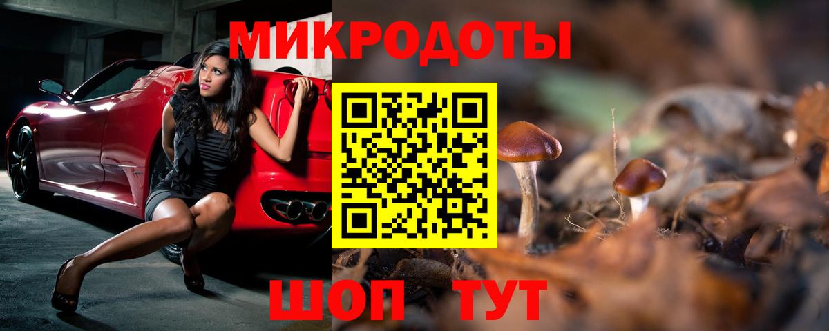 Псилоцибиновые грибы мицелий  где продают   Советск  Вход с VPN  Галлюциногенные грибы Magic Shrooms 